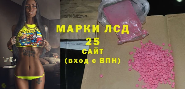 прущие грибы Балабаново