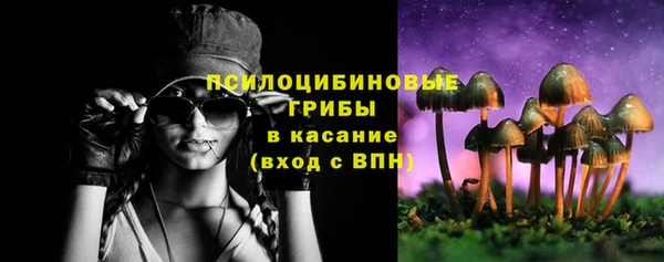 прущие грибы Балабаново