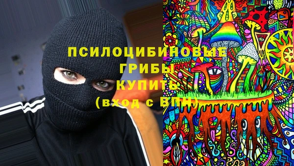 стафф Балахна