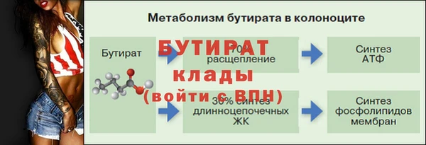 дживик Анжеро-Судженск