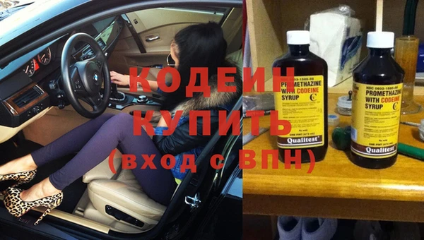 прущие грибы Балабаново