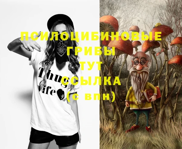 прущие грибы Балабаново