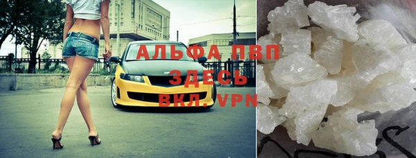 прущие грибы Балабаново